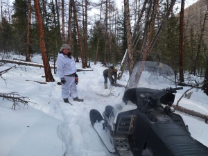 ������ ����� ��������� ����������� ������ ���������� � ��������� ������